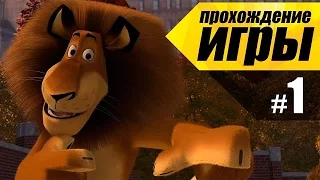 Прохождение игры Мадагаскар #1 | День рождение Марти !