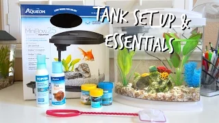 HOW TO SET UP A BETTA FISH TANK | ESSENTIALS