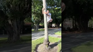 🇪🇸🇨🇺Climbing a Coconut Tree in 10 Seconds 🌴🥥