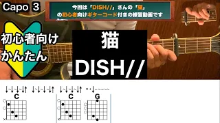 猫/DISH//ギター/コード/弾き語り/初心者向け/簡単