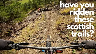 This Scottish MTB destination has just about every type of trail you could imagine!