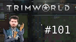 (T)RimWorld #101 mit Matteo