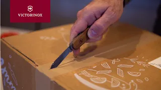 Victorinox | Master the Moment: ordinary uses, extraordinary quality