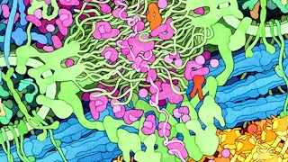 David Goodsell's paintings reveal the incredible beauty of the living cell