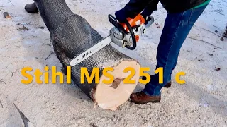 Stihl MS 251 cbe Chainsaw in Action / Cutting Up A Tree