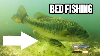 How to catch MONSTER  largemouth BASS in the SPAWN!