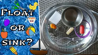 Float or Sink | Floating sinking experiment | Why do things sink or float |Class 5 EVS |NCERT |DAV