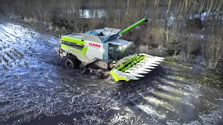 MAIZE HARVEST in extreme wet soil conditions | Claas Lexion 8600TT | France | 2023