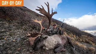 THE BEST STALK WE'VE EVER SEEN | Yukon Caribou and Moose (EP.2)