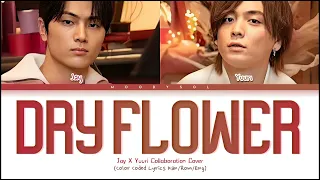 ENHYPEN JAY & Yuuri - Dry Flower Lyrics Kan/Rom/Eng