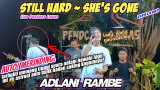 SUMP4H❗️MERINDING😱 ADLANI BIKIN KAGUM SEISI CAFE BAWAIN LAGU "She's Gone" AUTO SALUT😱👏