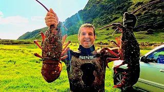 Massive Crayfish/Lobster from a beautiful, remote beach...