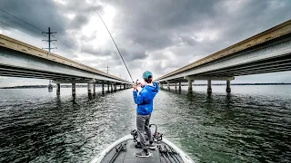 WHY Fish Live By HIGHWAY BRIDGES!! (What You're Missing)