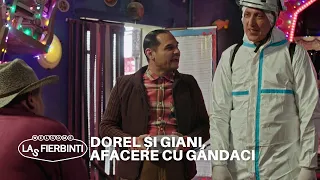 Dorel și Giani, afacere cu gândaci | Las Fierbinți | Sezonul 24