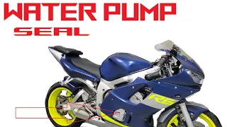 Gen 1 Yamaha YZF R6 water pump failure fix 99 02 Milky oil