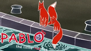 Pablo le petit renard - La pêche miraculeuse S01E06 HD