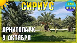 ОРНИТОПАРК В СИРИУСЕ | Субтропический рай в отдельно взятом городе