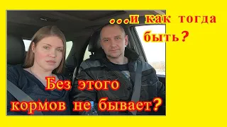 Собственный комбикорм или КРУПНЫЙ ПРОИЗВОДИТЕЛЬ?