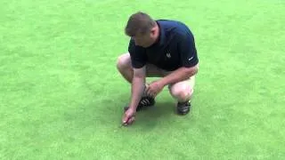 Ball Mark Repair.