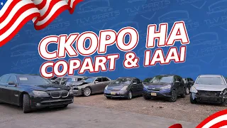 Эти авто скоро появятся на аукционах Copart и IAAI | Обзор