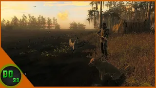 I Have The Ultimate DUCK HUNTING Setup! TheHunter Classic 2020