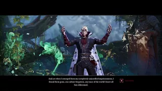 Divinity: Original Sin 2 — истории героев: Fane