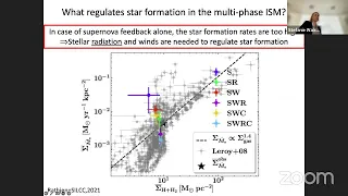 S. Walch-Gassner (Uni Cologne): The energetics of molecular clouds: reassessing the role of gravity