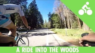 Just a Bike Ride Into the Woods of Northern California