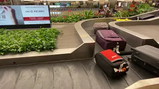 Polite Luggage at Changi Airport