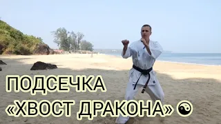 ПОДСЕЧКА ХВОСТ ДРАКОНА 🐉Kyokushinkai karate Goa 2023 OSU!