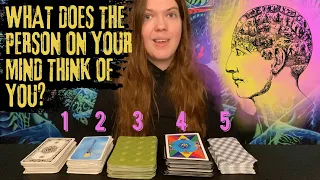 ♢ PICK A CARD ♢ WHAT DOES THE PERSON ON YOUR MIND THINK OF YOU? - PSYCHIC TAROT READING