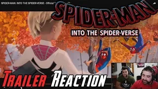 Spider-Man Into the Spider-Verse Angry Reaction!
