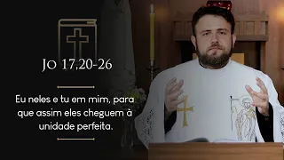 Homilia Diária | Quinta-feira - 7ª Semana da Páscoa (Jo 17,20-26)