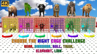 Choose the Right Cage Challenge Animal Game #animalgame #paintanimals