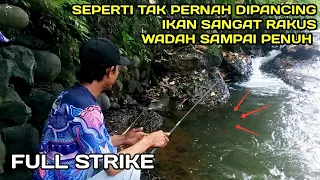 PANEN.! Mancing Nilem ikan Makan Terus Wadah Sampai Penuh #LM38