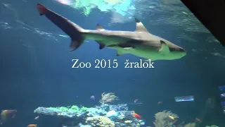 Ausflug Zoo 2015 Žralok von Dagmar Ingr