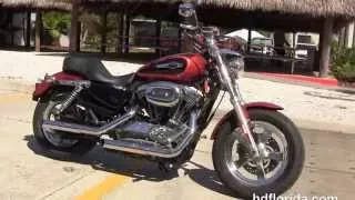 Used 2011 Harley Davidson Sportster 1200 Custom Motorcycles for sale in Tampa