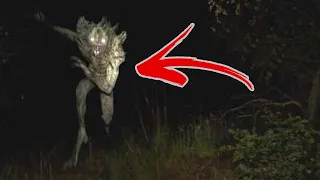 Top 5 REAL Scary Cryptid Encounters