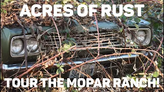 Acres Of Rust And Decay - Tour The Mopar Ranch Hidden In Western Washington!