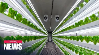 S. Korea’s indoor farming technology helps crop production in the Middle East