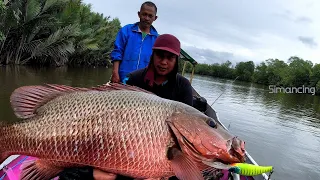 Saat Kondisi Begini Ikannya Tambah Agresif & Lebih Besar 🎣 Mancing Ikan Kakap Besar di Muara Sungai