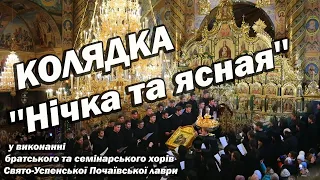 #колядка ''Нічка та ясная'' у виконанні братського та семінарського хорів Почаївської лаври #2024