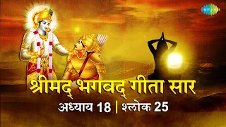 भगवद गीता सार अध्याय 18 श्लोक 25 with lyrics | Bhagavad Geeta Chapter 18 shlok 25 |Shailendra Bharti