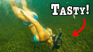 Hand Fishing for the Oceans TASTIEST CRITTERS in Tall Grassbeds!!! (Catch Clean Cook!!)