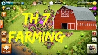 Clash of Clans TH7 Farming