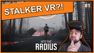 ☢️ Is this Stalker VR? INTO THE RADIUS ☢️ Introduction, first Impression, first Mission