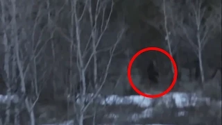 Bigfoot Caught On Tape In Utah 2015