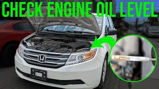 How to Check Engine Oil Level - Honda Odyssey (2011-2017)