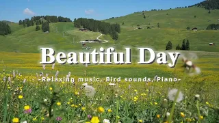 Relaxing piano music with bird sounds|Beautiful melody|Study music|Healing Music| #relaxingmusic