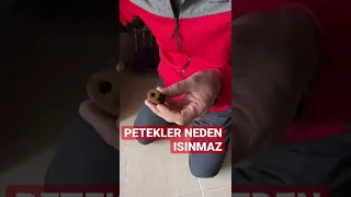 Kombi Petekleri Neden Isınmaz